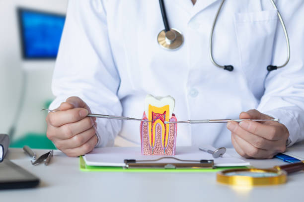 Best Broken or Cracked Tooth Emergency Dentist in Elmwood, IL